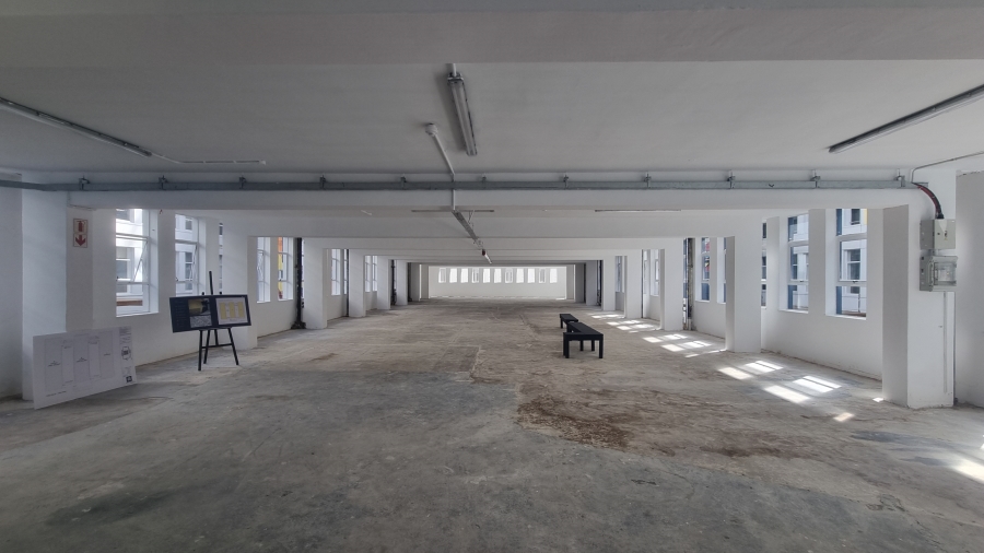 To Let Commercial Property for Rent in Cape Town City Centre Western Cape